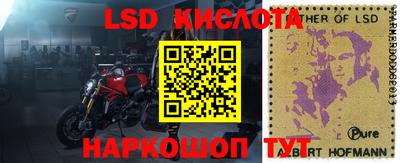 прущие грибы Берёзовский