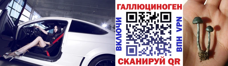 Псилоцибиновые грибы GOLDEN TEACHER  Десногорск 