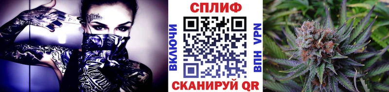 Конопля сатива Десногорск